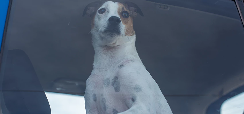 Car Lockout Solutions in East Los Angeles, California